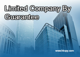 Limited Company By Guarantee 