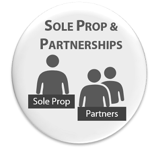 Sole Proprietorship or Partnership 
